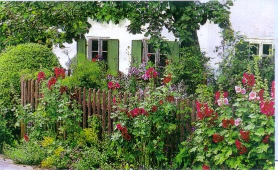 Сад в стиле кантри  дикая природа на вашей даче - фото