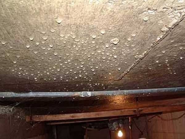 Как устранить конденсат на потолке в подвале? с фото