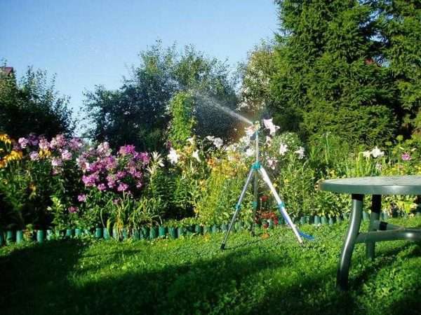 Как выбрать насос для полива огорода с фото