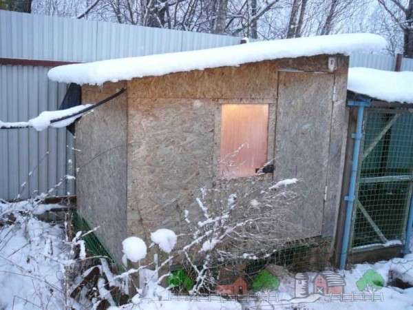 Сарай для кур на зиму: строим и утепляем курятник самостоятельно - фото